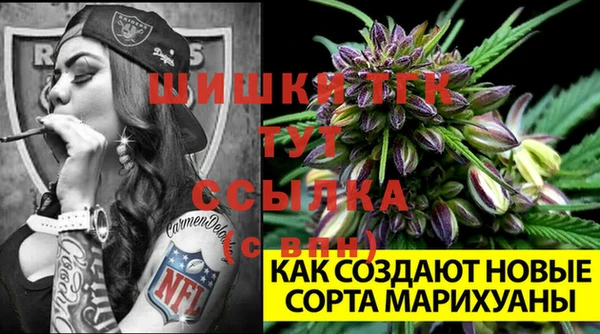 мдпв Горнозаводск
