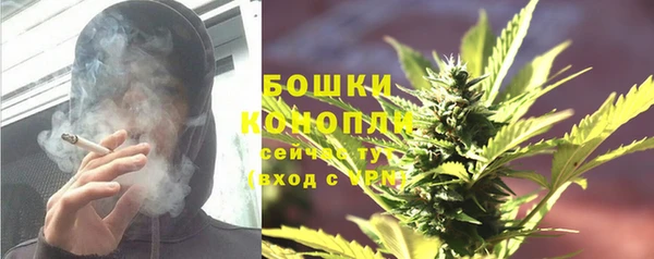 мдпв Горнозаводск